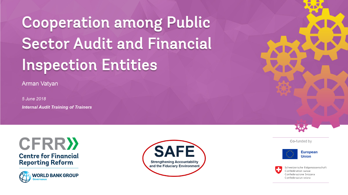 Cooperation among Public Sector Audit and Financial Inspection Entities