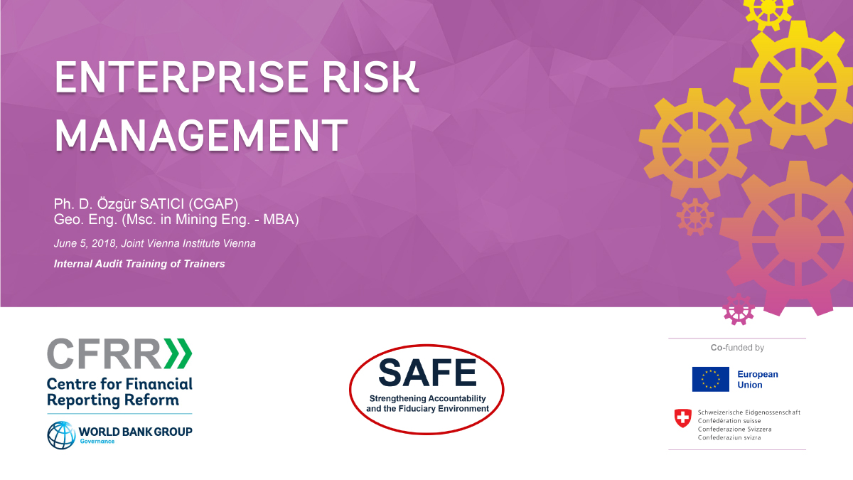 Enterprise Risk Management 