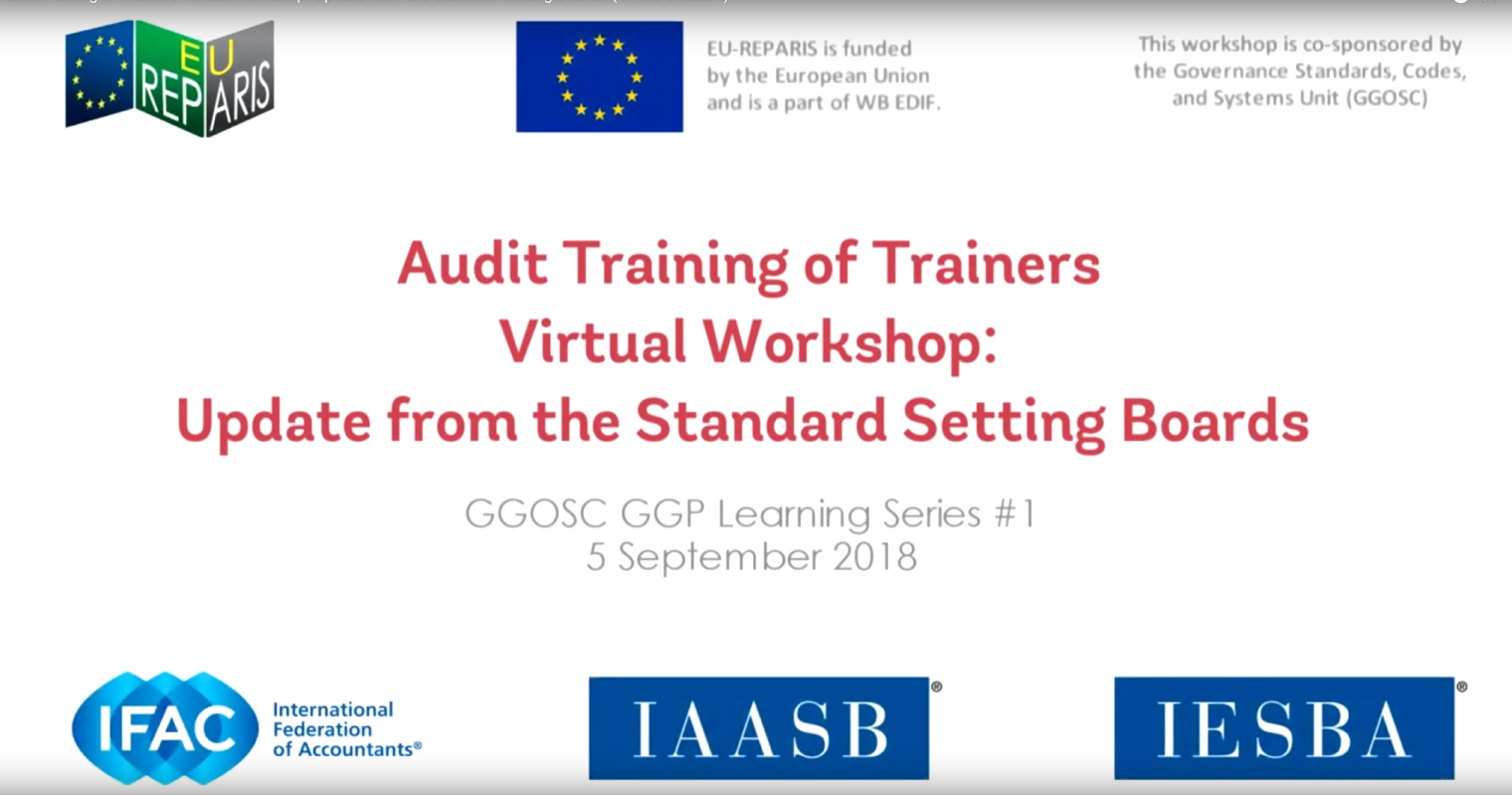 Audit Training of Trainers Virtual Workshop: Update from the Standard Setting Boards