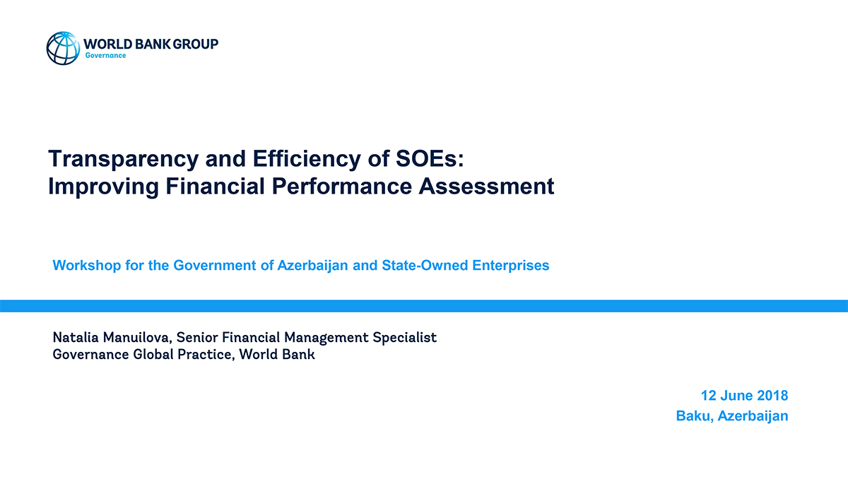 Transparency and Efficiency of SOEs: Improving Financial Performance Assessment 