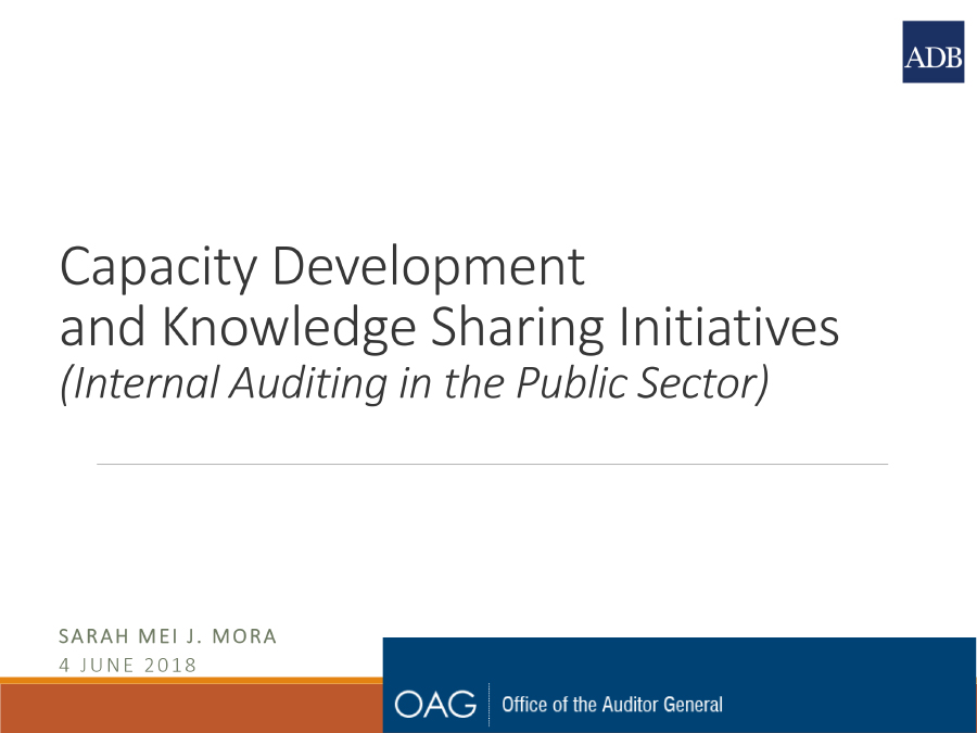 Capacity Development and Knowledge Sharing Initiatives (Internal Auditing in the Public Sector)