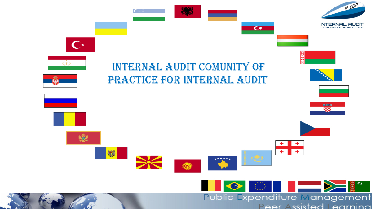 Internal Audit Community of Practice for Internal Audit 