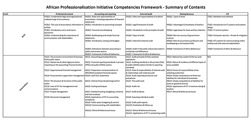 AFROSAI-E: African Professionalisation Initiative Competencies Framework