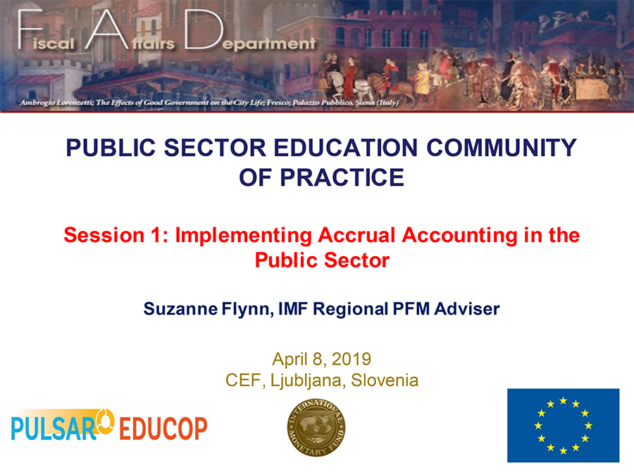 Implementing Accrual Accounting in the Public Sector