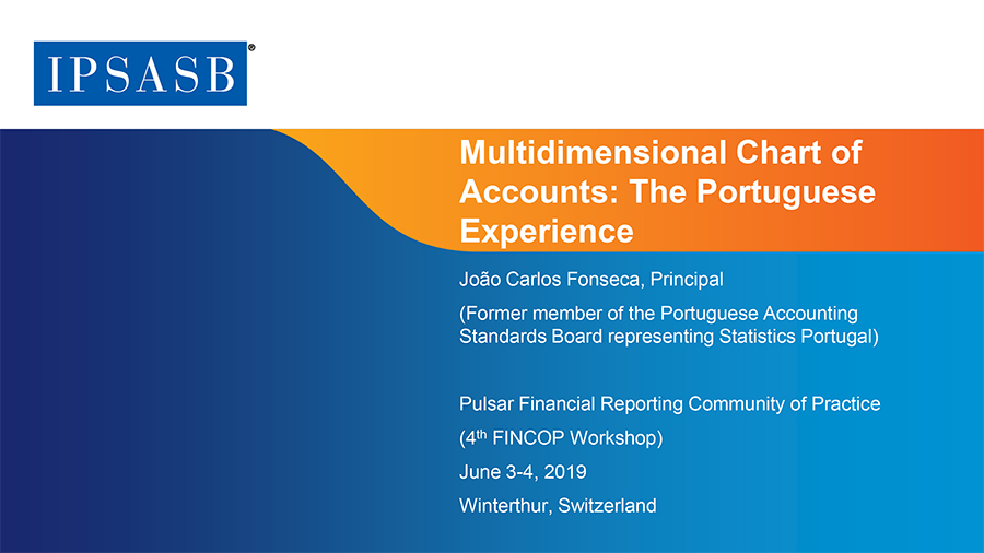Multidimensional Chart of Accounts: The Portuguese Experience 