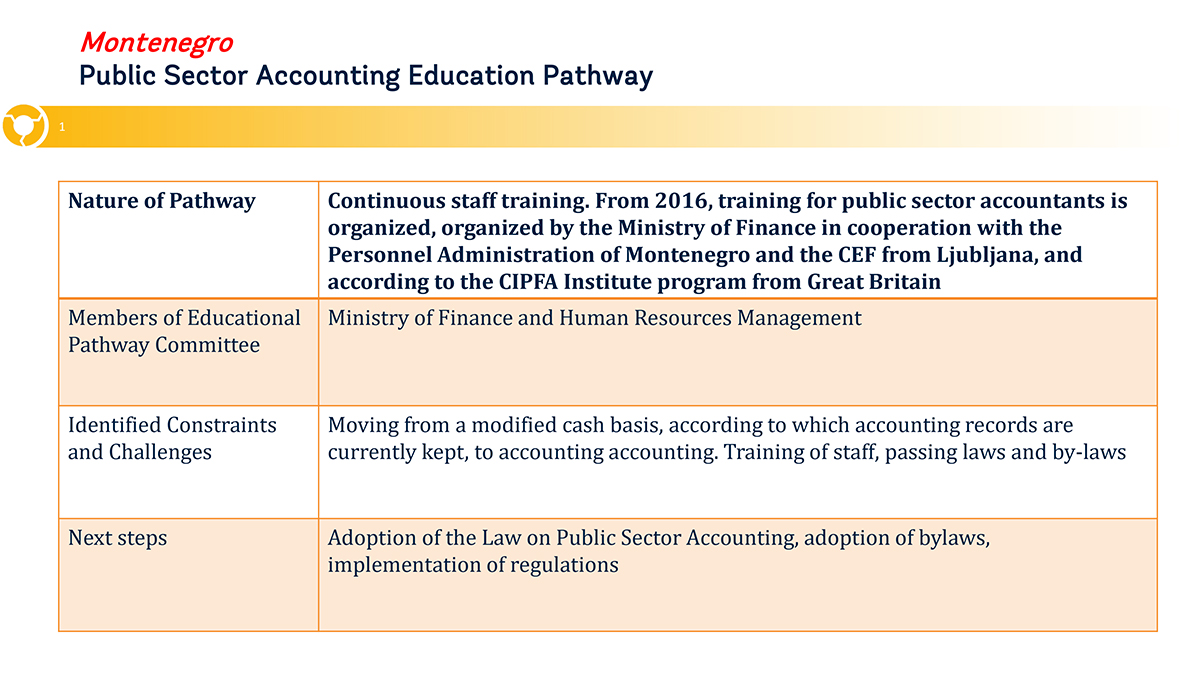 Public Sector Accounting in Montenegro