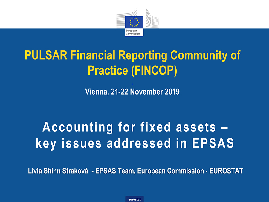 Accounting for fixed assets in EPSAS