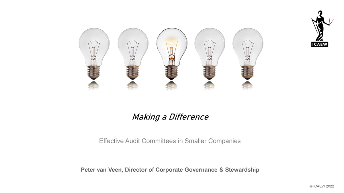 Effective Audit Committees in Smaller Companies