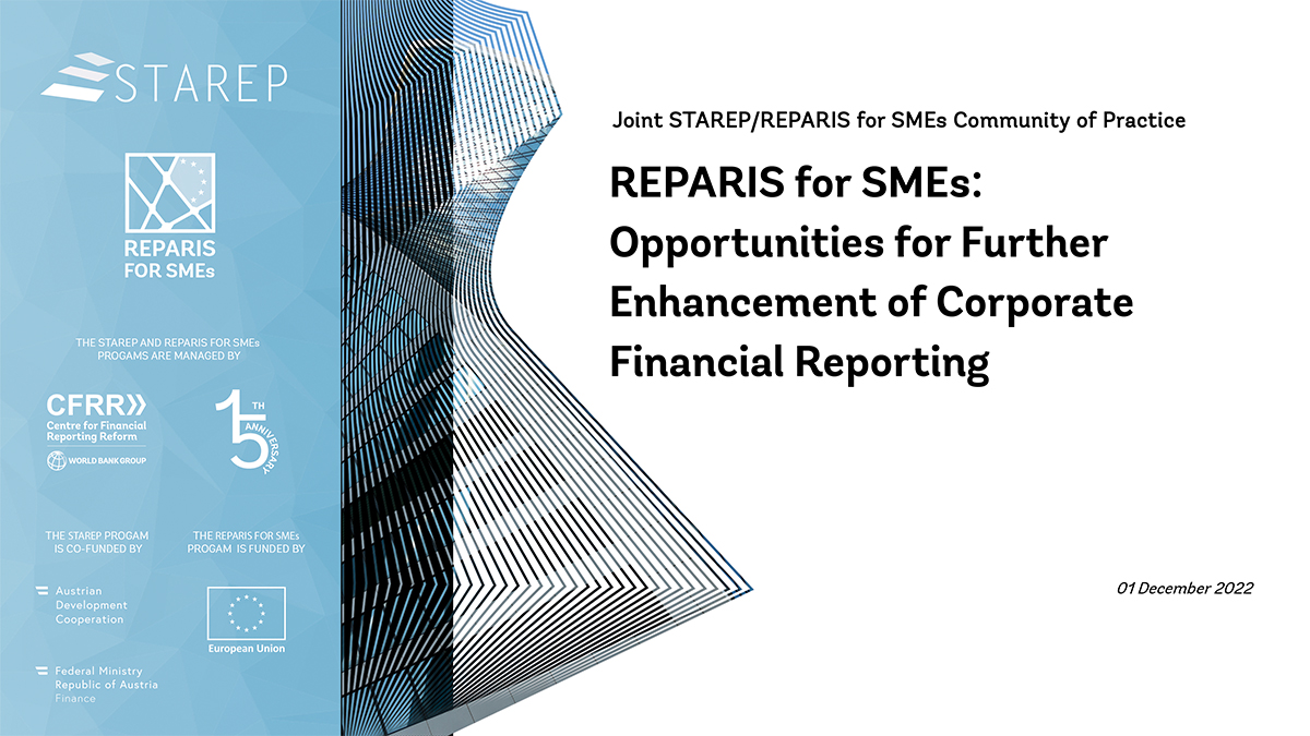 REPARIS for SMEs: brief overview of activities