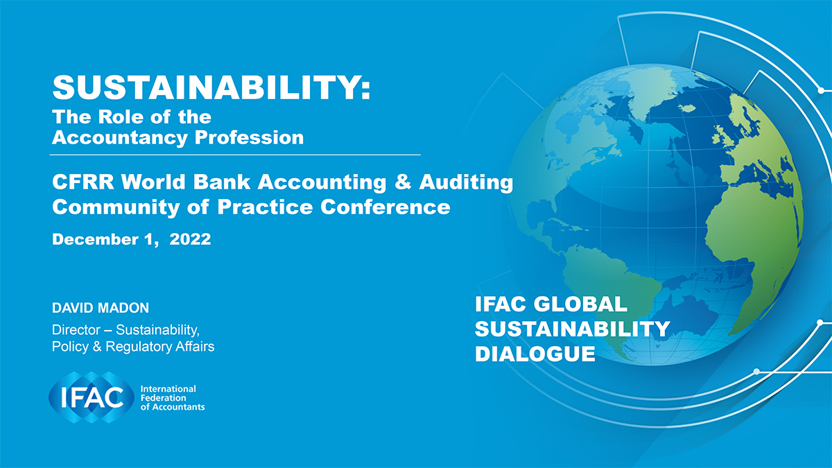 Sustainability: The Role of the  Accountancy Profession 