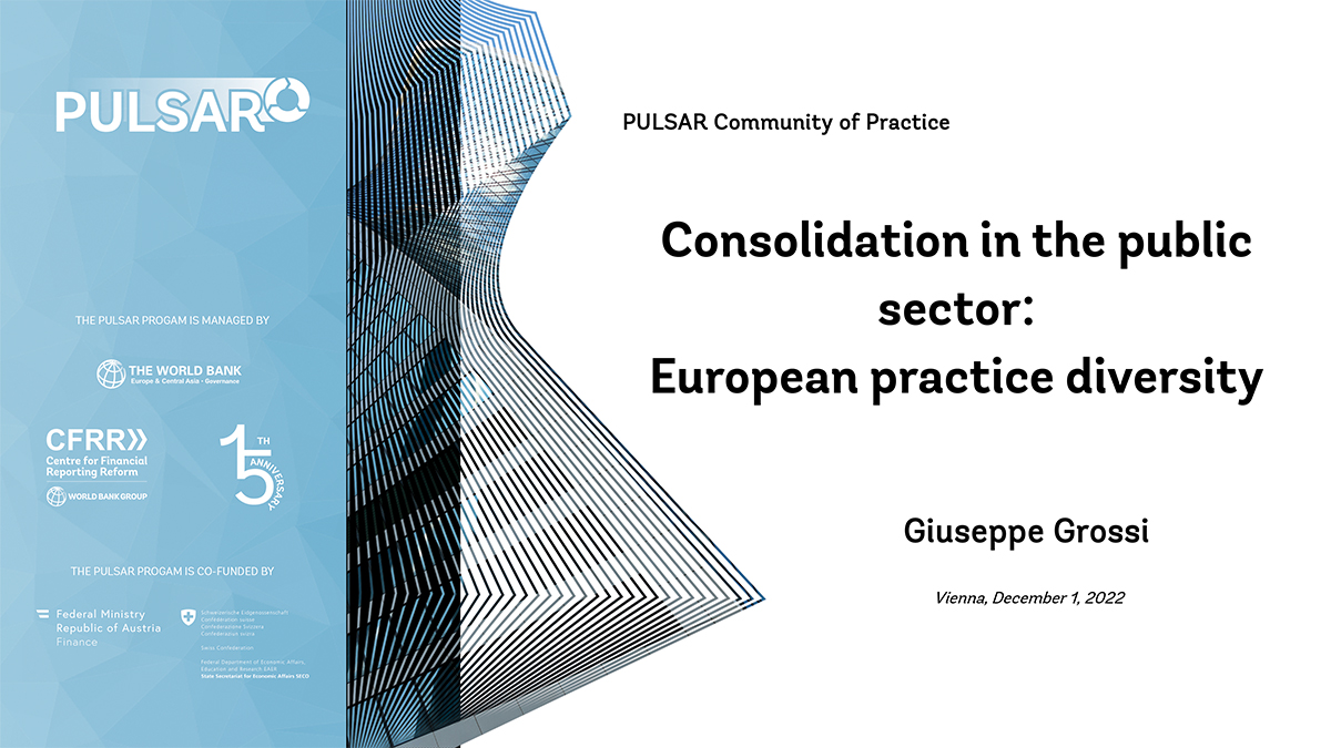 Consolidation in the public sector: European practice diversity