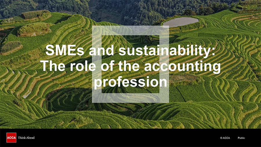 SME and sustainability: The role of the accountancy profession