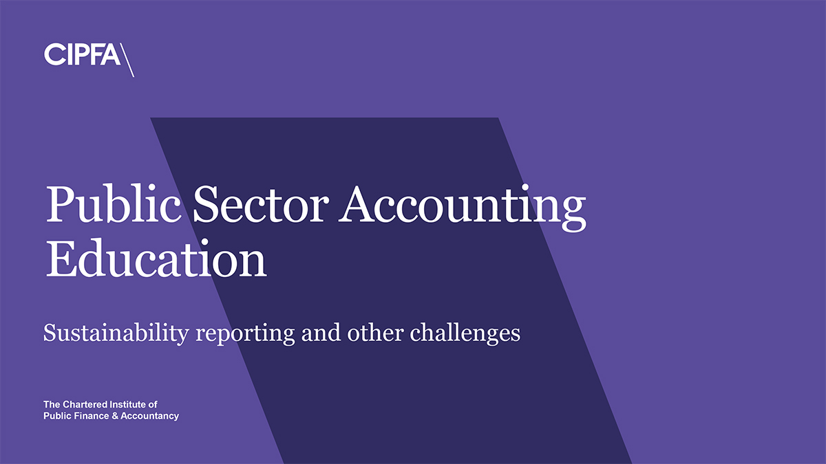 Public Sector Accounting Education: Sustainability reporting and other challenges