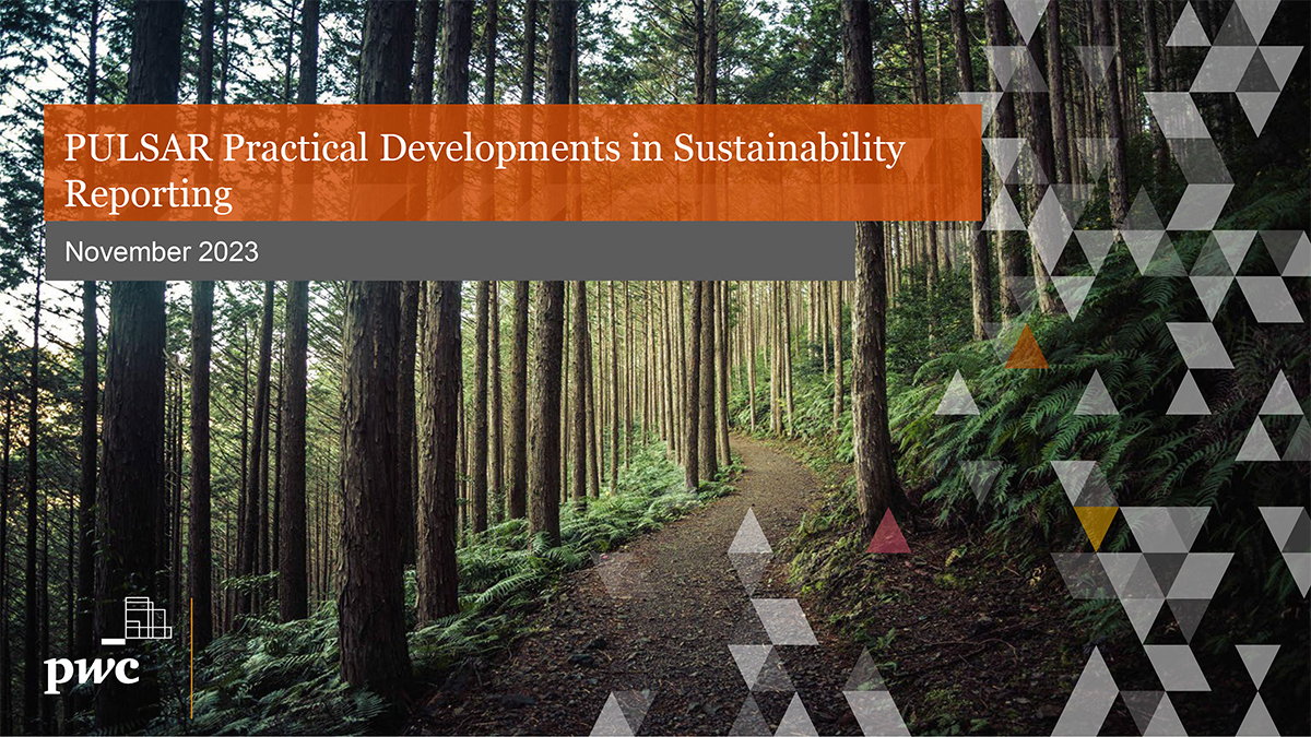 PULSAR Practical Developments in Sustainability Reporting