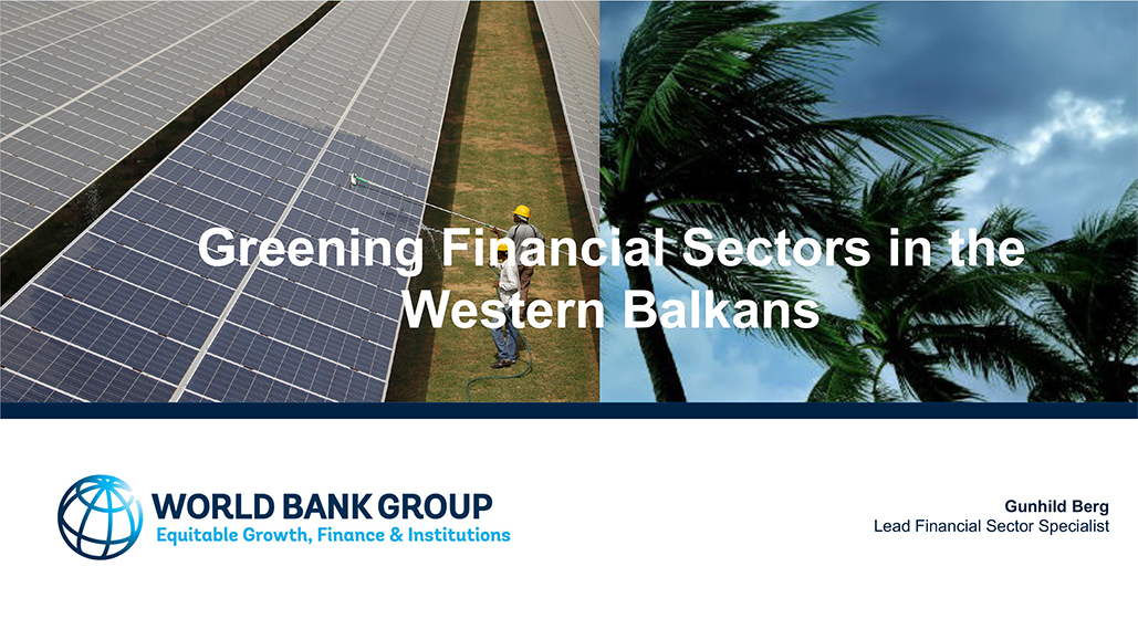 Greening Financial Statements in the Western Balkans