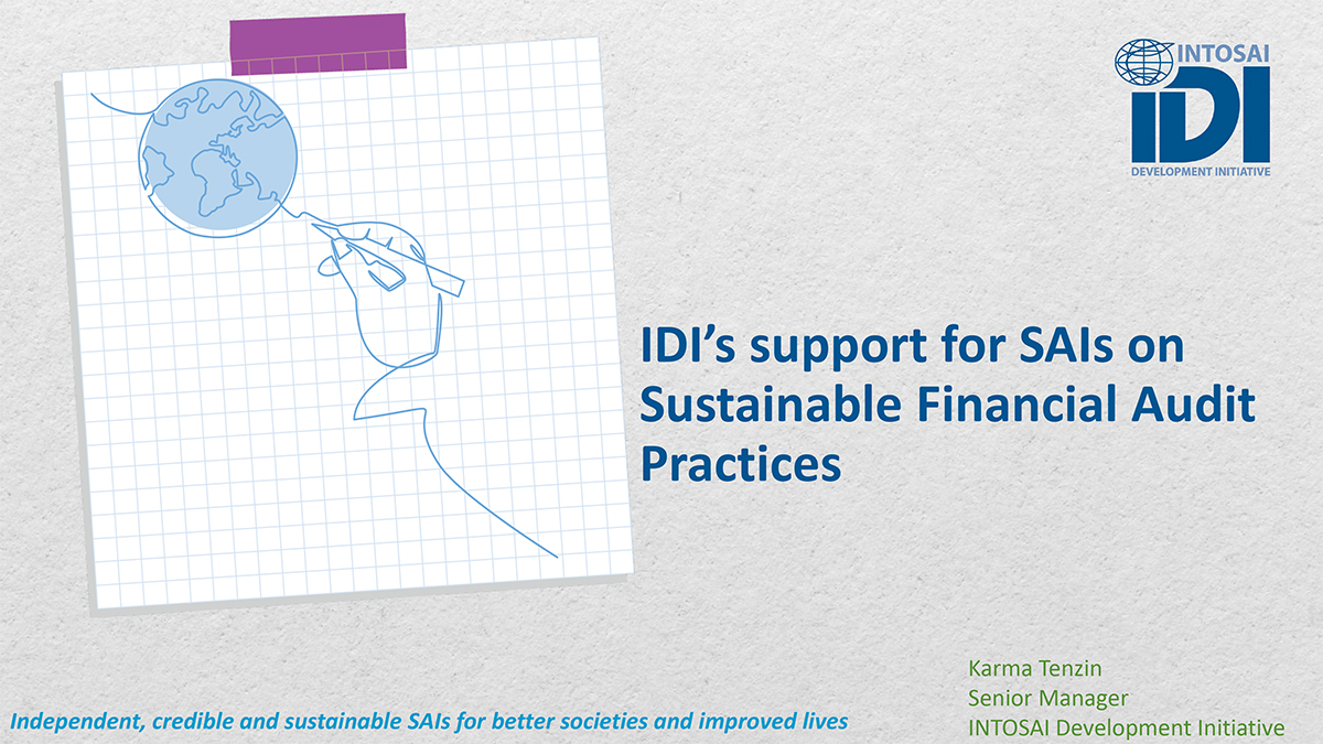 IDI’s support for SAIs on Sustainable Financial Audit Practices