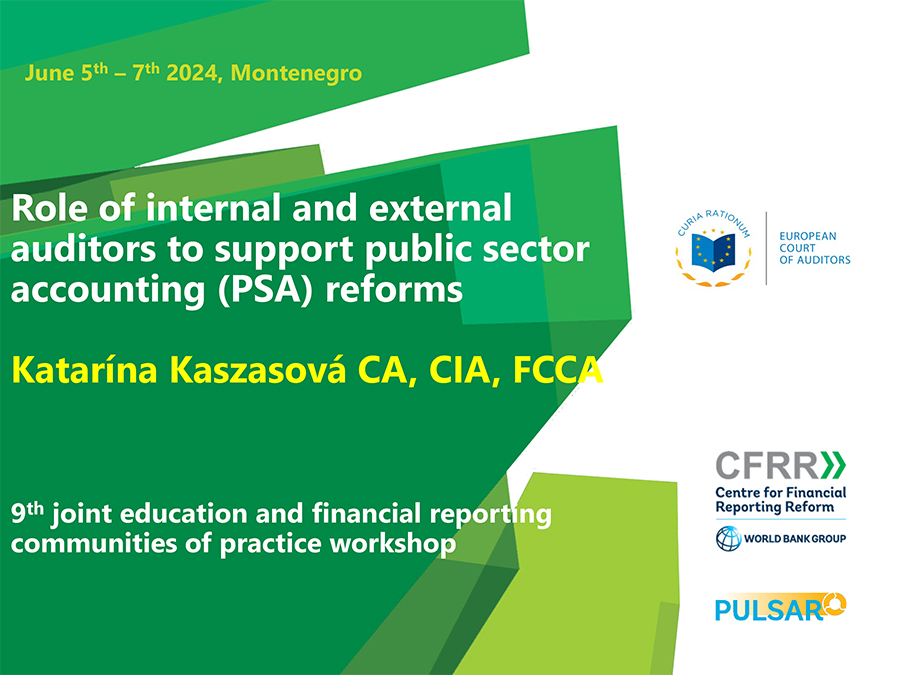 Role of internal and external auditors to support public sector accounting (PSA) reforms