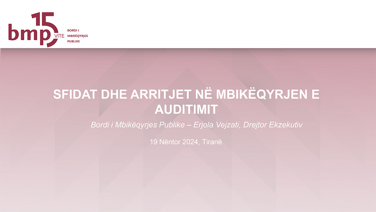 Challenges and advancements in the audit sector 