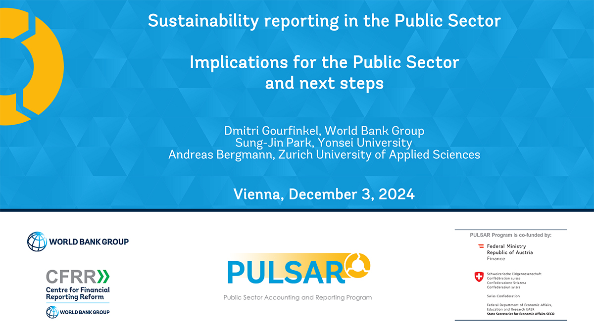 Sustainability reporting in the Public Sector: Implications for the Public Sector and next steps