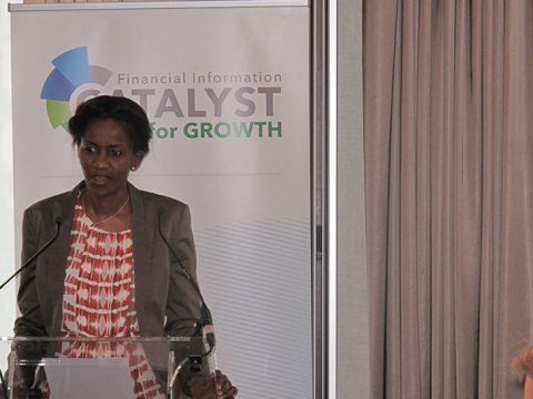 Helping Businesses to Access Credit and Attract New Investment