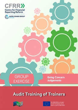 Group Exercise: Going Concern Judgements cover
