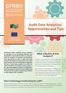 Audit Data Analytics: Opportunities and Tips cover