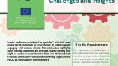 Smaller Audits: Challenges and Insights cover