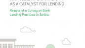 Small and Medium Enterprises: Financial Information As A Catalyst For Lending - Results of a Survey on Bank Lending Practices in Serbia