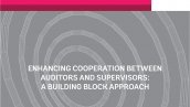 Enhancing Cooperation between Auditors and Supervisors: A Building Block Approach