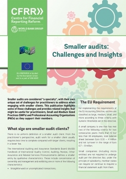 Smaller Audits: Challenges and Insights cover