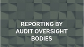Reporting by Public Oversight Bodies