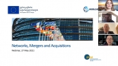SMP Capacity Building Training Webinar Series  Module 4 – Networks, Mergers and Acquisitions