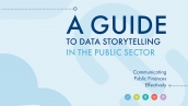 A Guide to Data Storytelling in the Public Sector