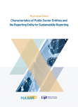 Characteristics of Public Sector Entities and the Reporting Entity for Sustainability Reporting